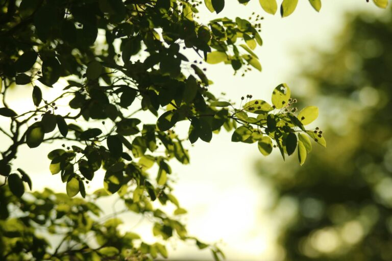 Bosch Fehler E01 verstehen und schnell beheben bei Smart Home Geräten Bosch Fehler E01 erklärt und schnelle Fehlerbehebung bei Smart Home Geräten