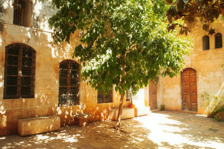 Hama Smart Home App mit Smartphone zur Fehlersuche und Geräte-Fehlerbehebung