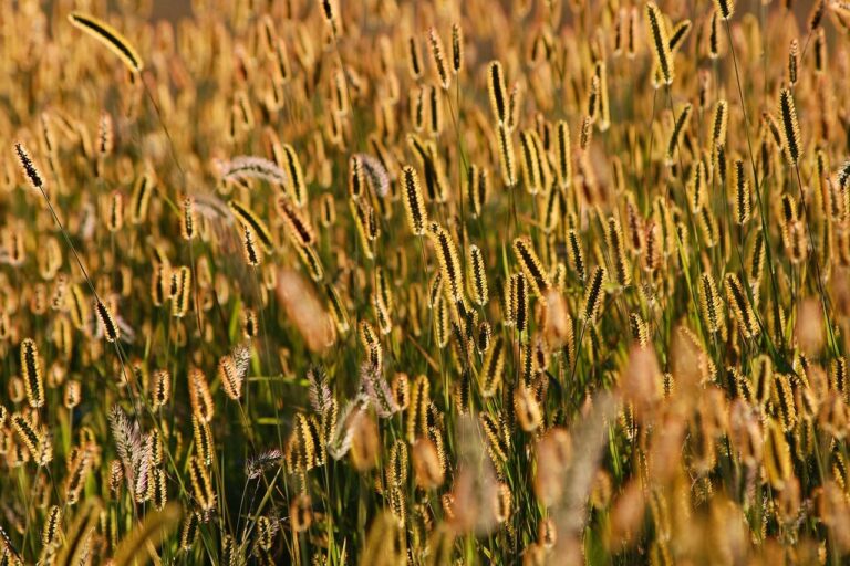 Smarte Heizung mit Thermostatventilen in Mietwohnung zur Heizkostenreduzierung