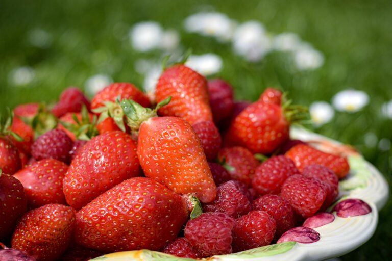 Smart Home Geräte und Steuerungssysteme für Kosten Wohnung Übersicht